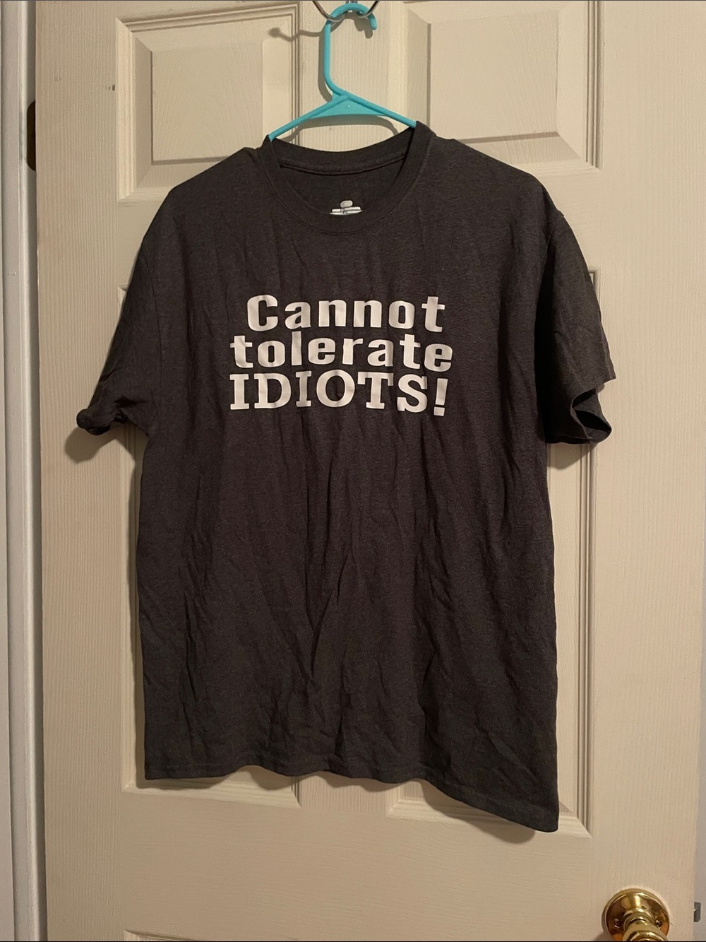 Cannot Tolerate Idiots! Graphic Tee